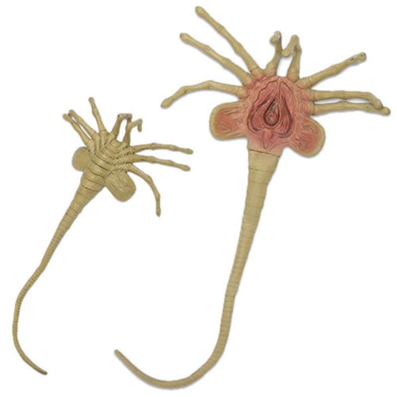 Aliens Facehugger 1:1 Scale Foam Life-Size Prop Replica