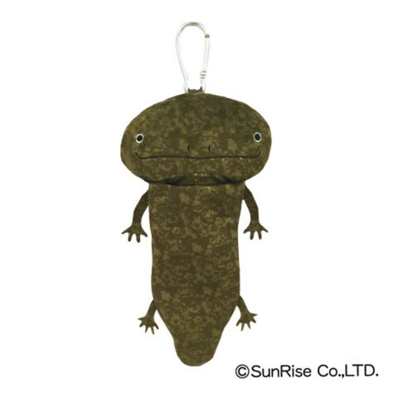Hola! Salamanders